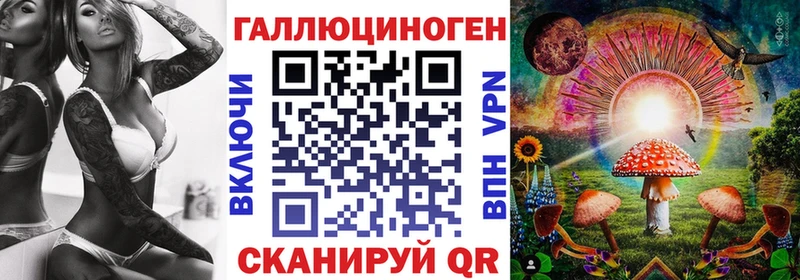 ОМГ ОМГ зеркало  Чита  Галлюциногенные грибы прущие грибы 